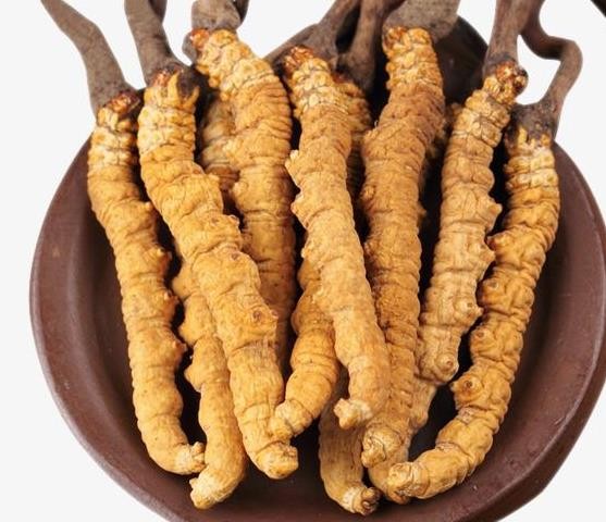 荔湾虫草回收商家